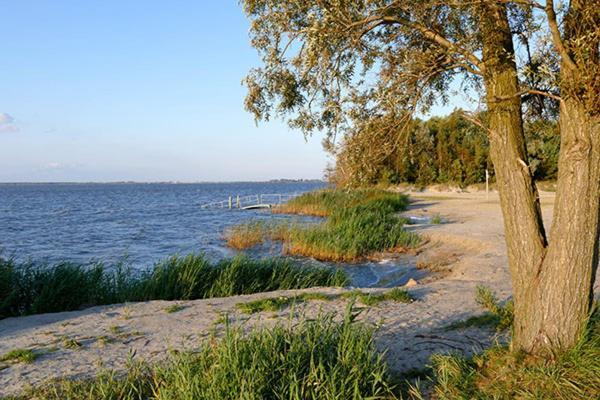 Huus Am Darss Villa Fuhlendorf  Luaran gambar